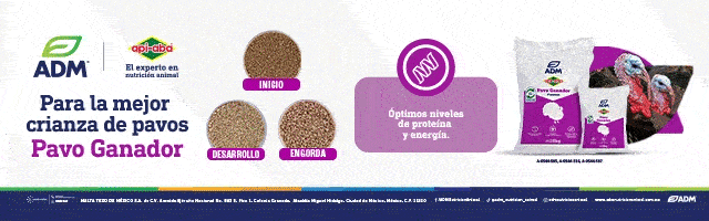 banner publicidad 216