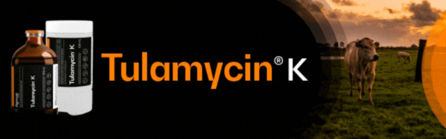 banner publicidad 88