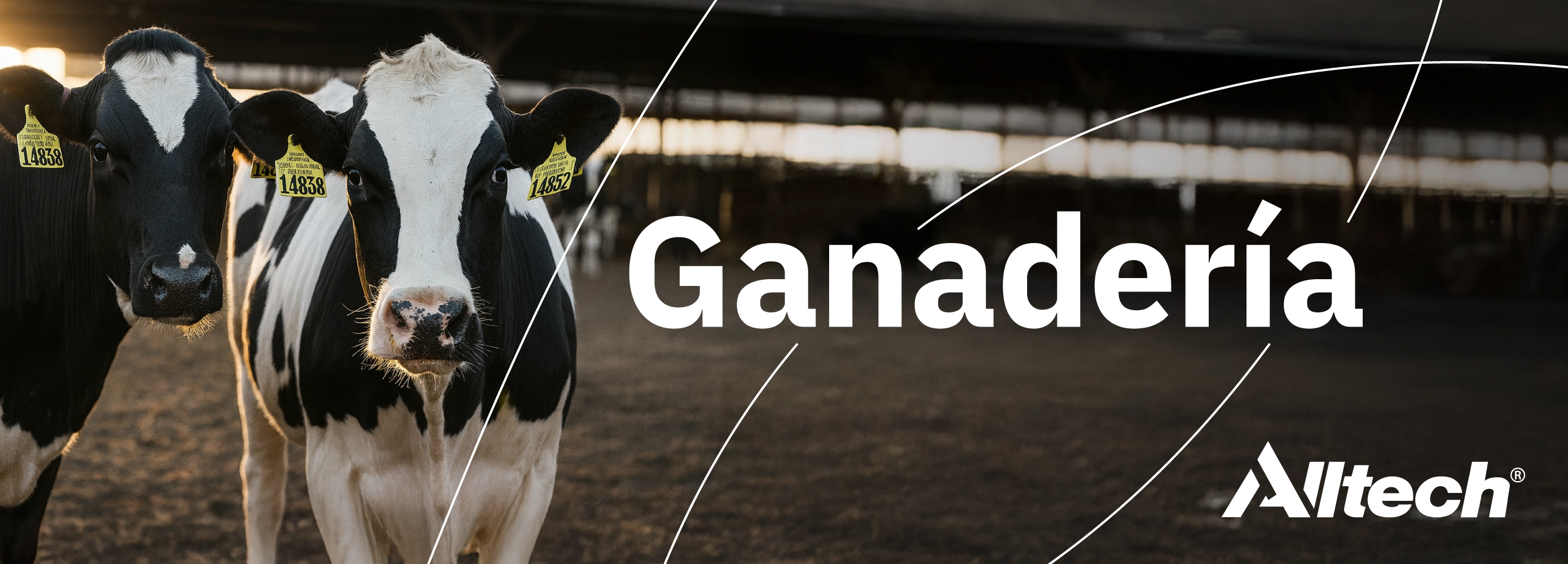 Alltech y Alimetrics colaboran en una herramienta in vitro para ...