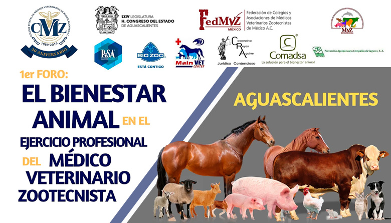 1er Foro: El bienestar animal en el ejercicio profesional del médico ...