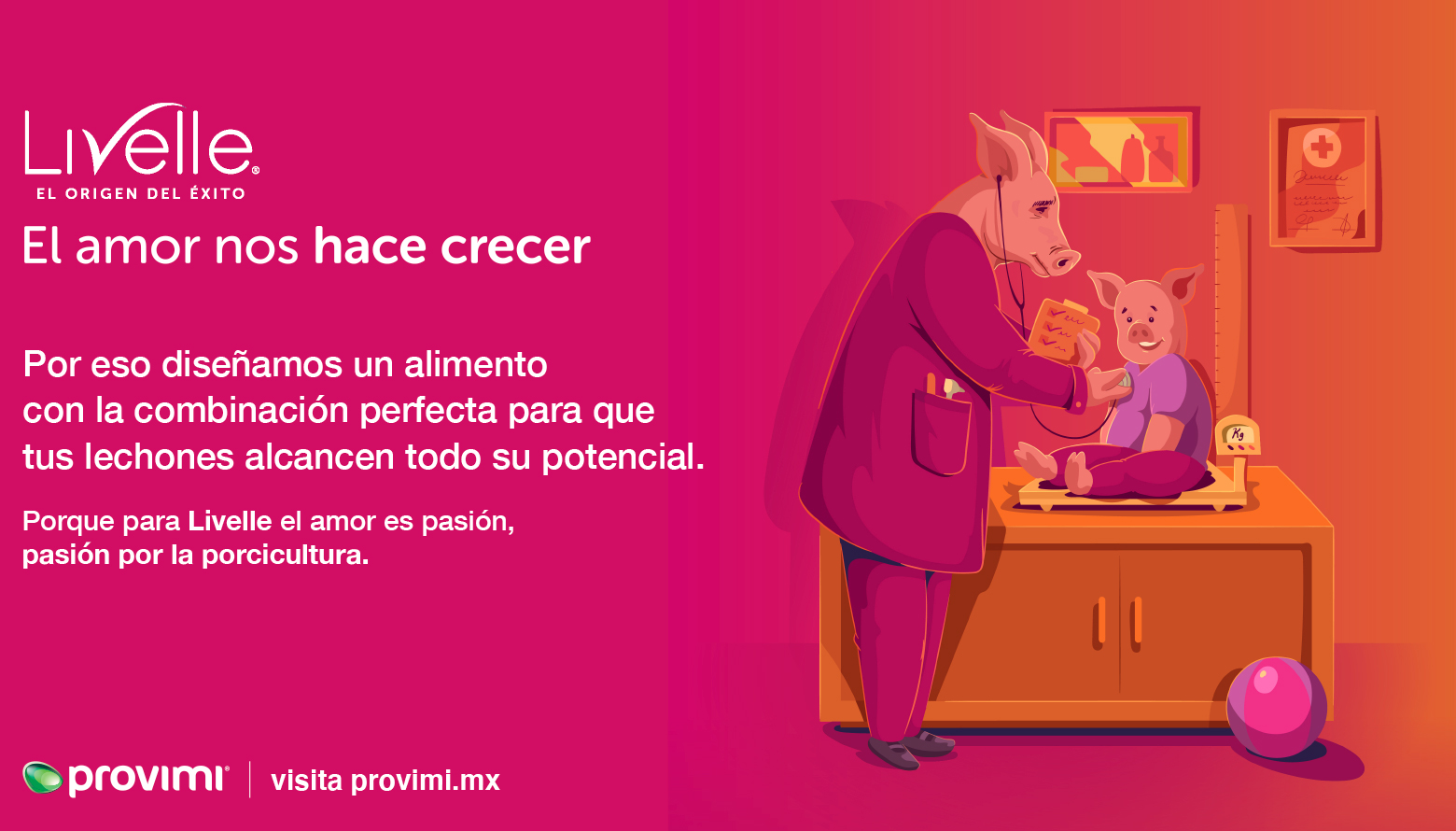 Livelle, lo nuevo de Provimi para mejorar la productividad porcícola ...