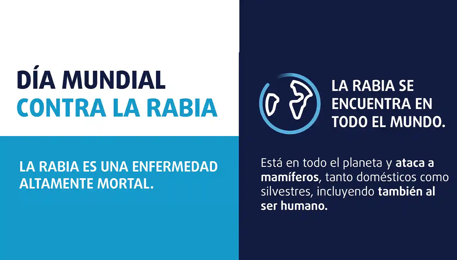 Día Mundial de la lucha contra la Rabia: claves para su prevención