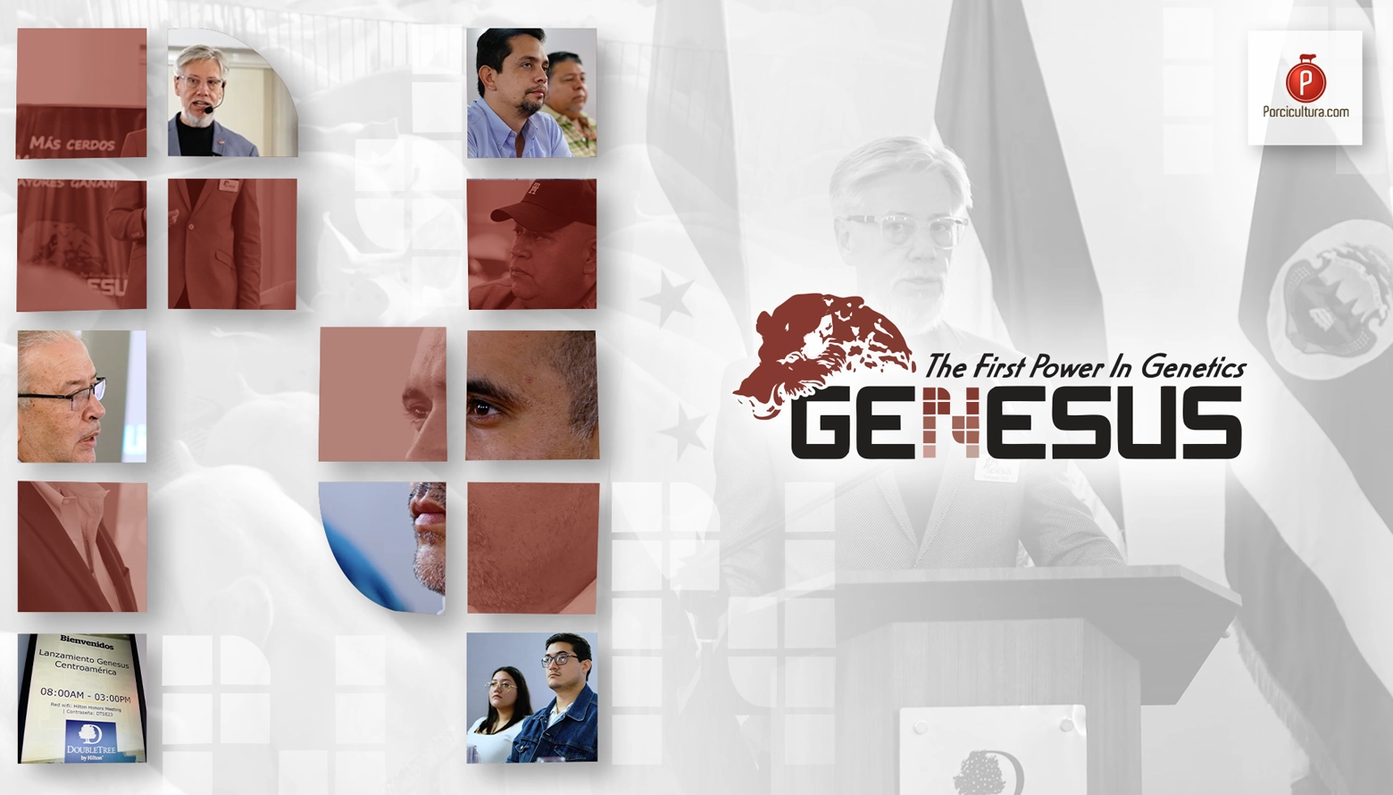 La genética Genesus de la hembra VL90 llegó a Nicaragua