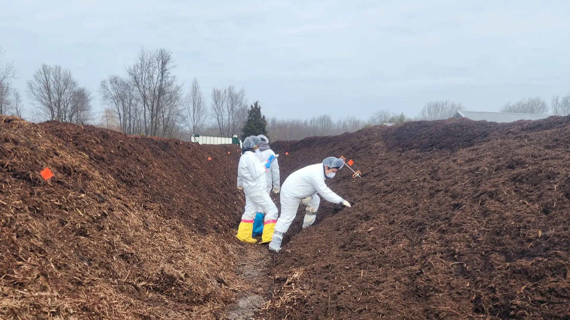 Proponen en Cumbre TIF compostaje de cadáveres ante enfermedades transfronterizas
