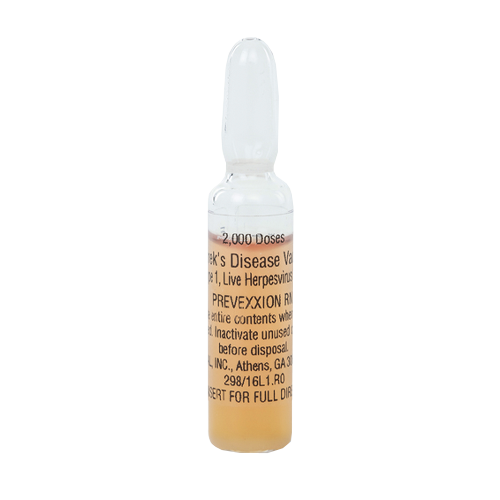 Prevex Powder Prevexxion