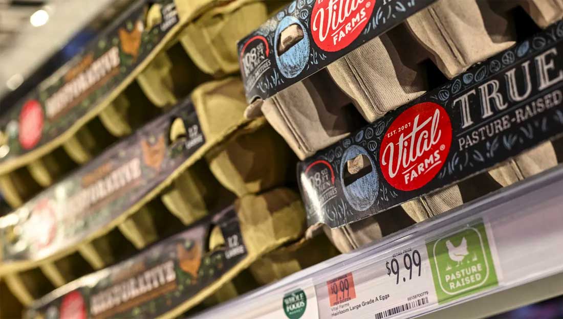 La especulación y escasez, ponen el kilo de huevo en Estados Unidos en más de 6 dólares; en México ya supera los 40 pesos