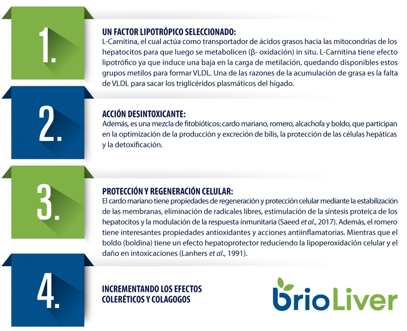 Importancia de promover la salud heptica de las aves Importancia de promover la salud heptica de las aves