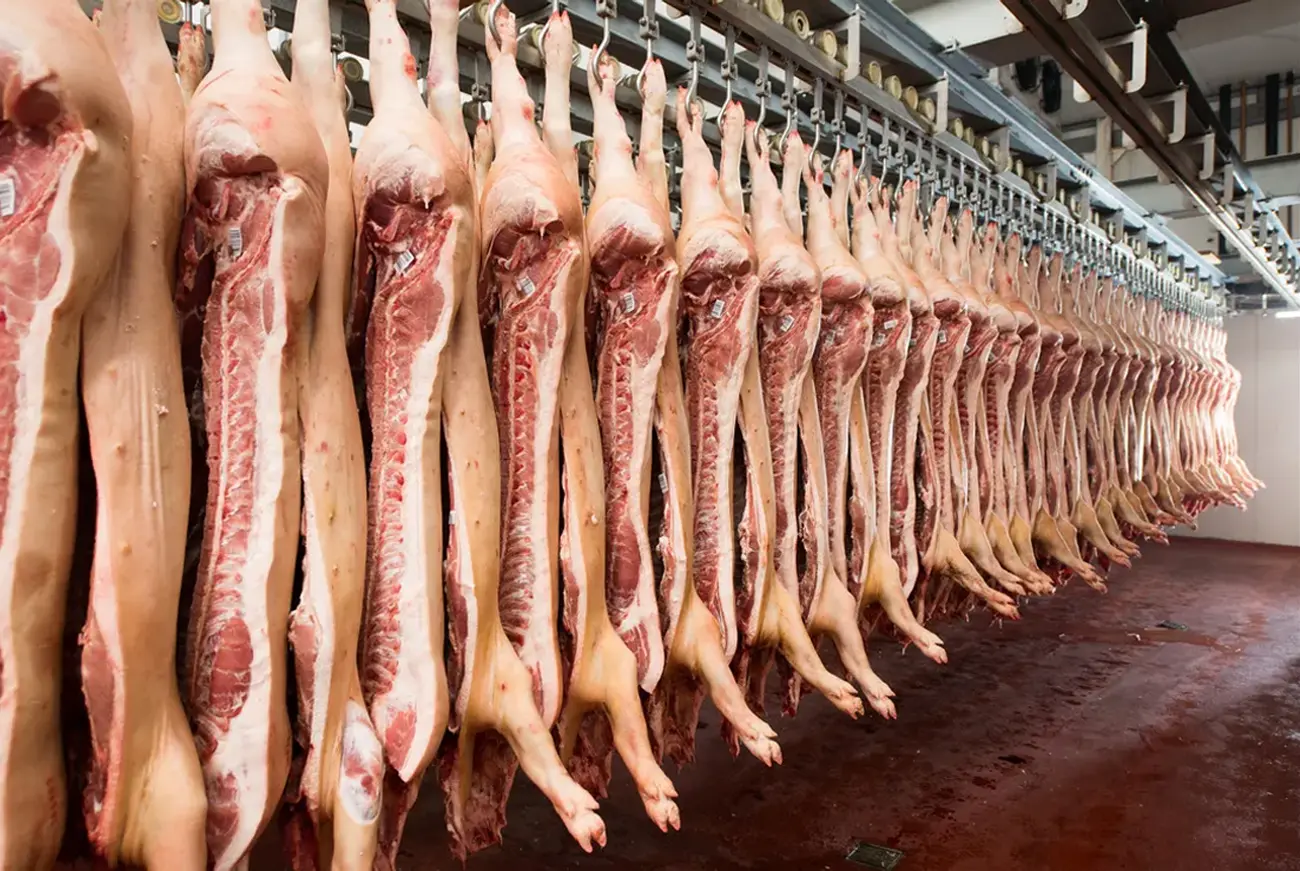 USDA: por escasez de res, precios del cerdo subirán lo que resta de 2025 y en 2026