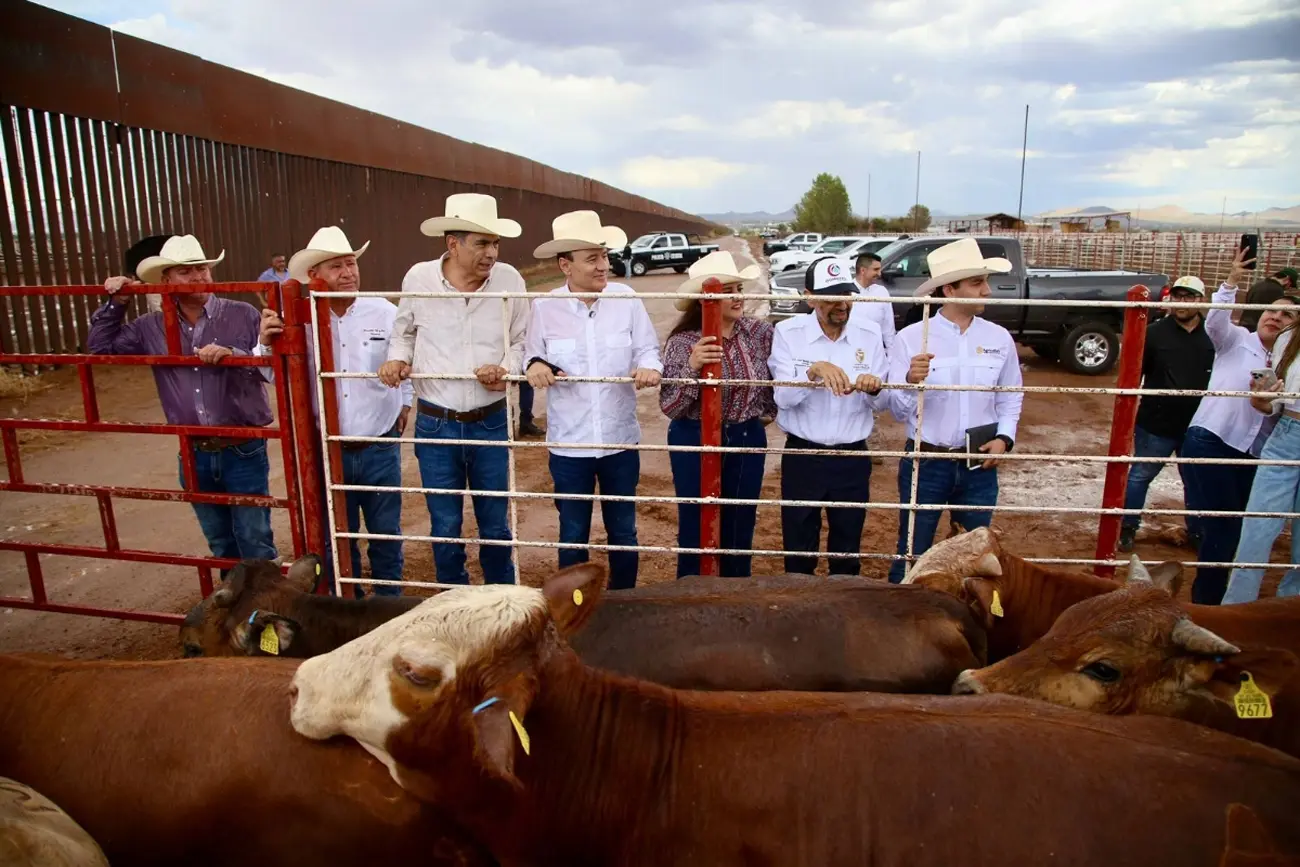 Frente al cierre por gusano barrenador: Plan México, ciudad ganadera en Sonora y blindaje en Chihuahua