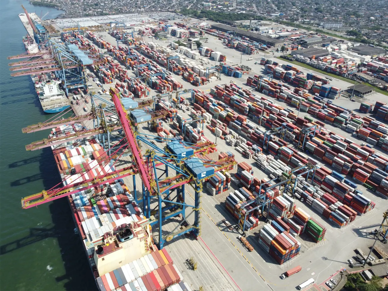 México y Brasil avanzan en cooperación agropecuaria; Senasica plantea importar genética bovina